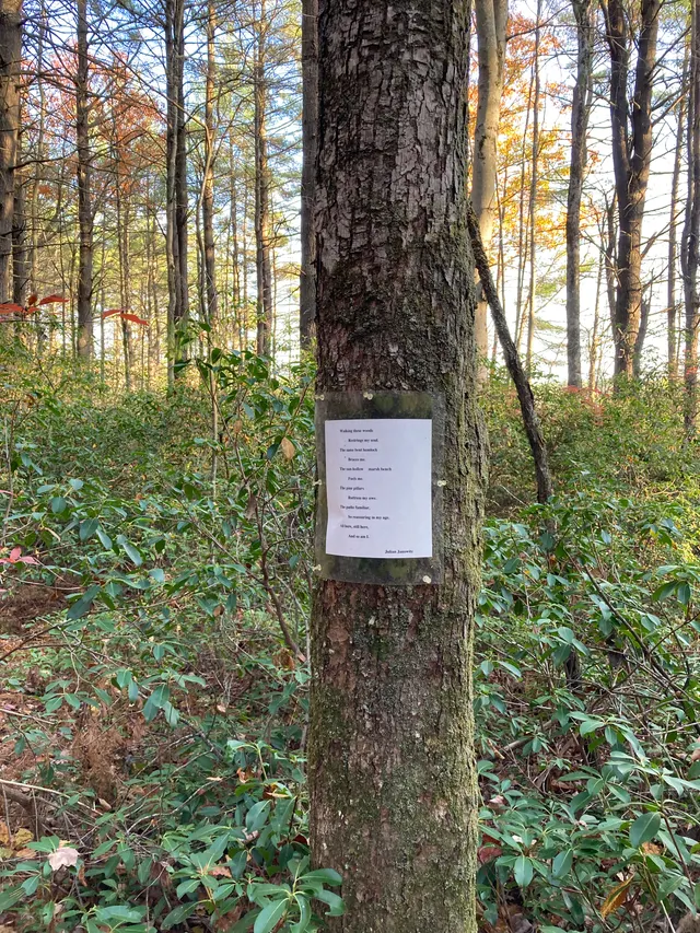 Poem 1 seen from the trail