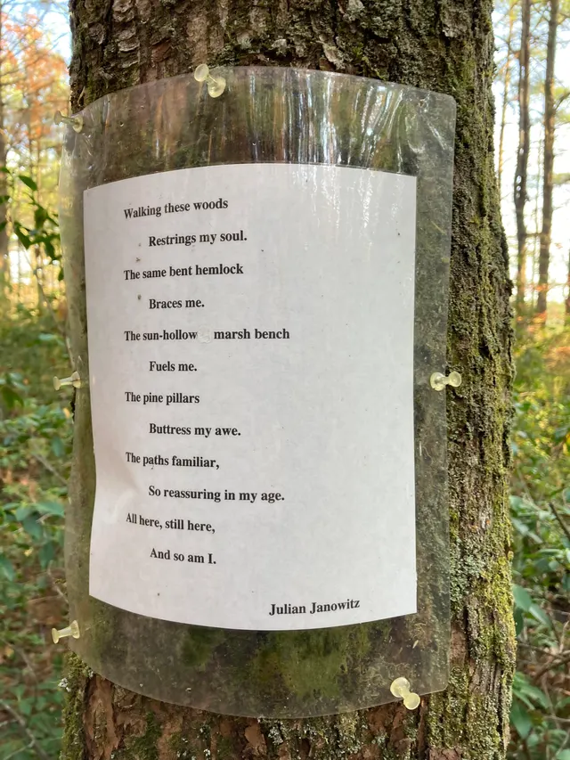 Poem 1 up close