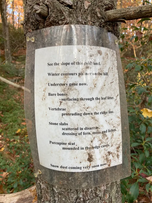 Poem 2 up close