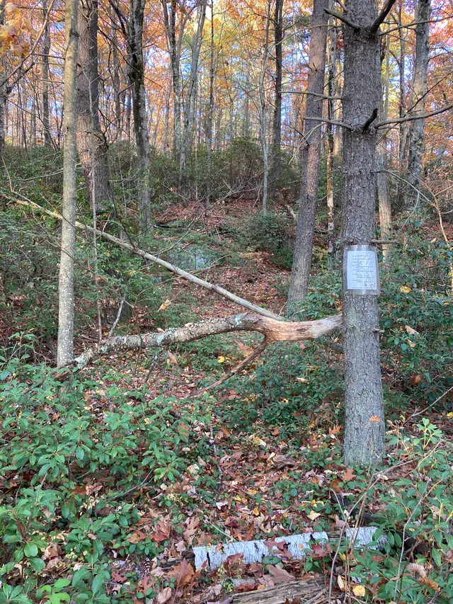 Poem 2 seen from the trail