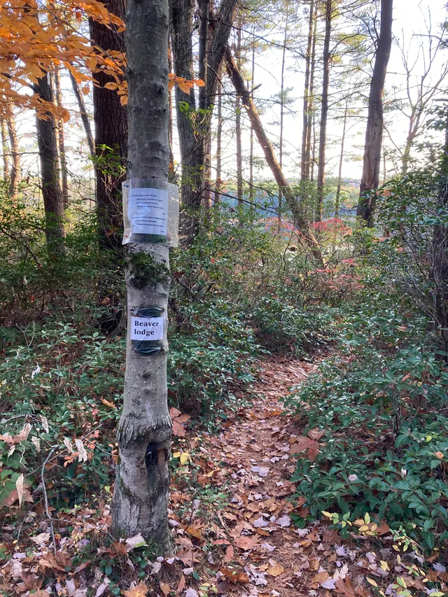 Poem 3 seen from the trail