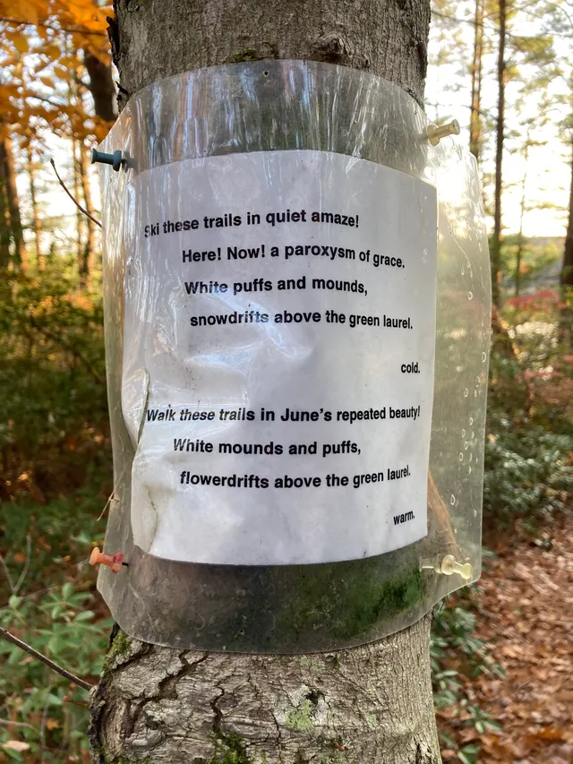 Poem 3 up close