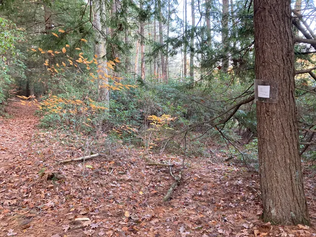 Poem 4 seen from the trail