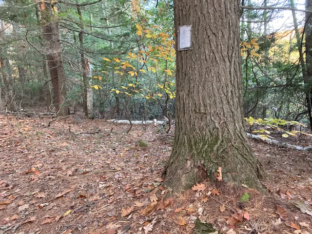 Poem 5 seen from the trail
