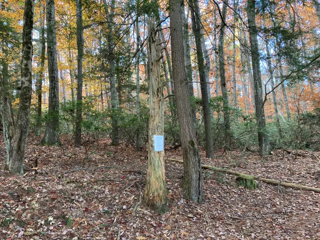 Poem 6 seen from the trail