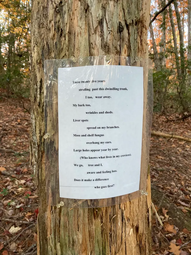 Poem 6 up close