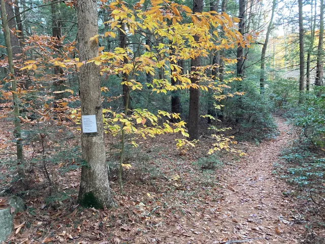 Poem 7 seen from the trail
