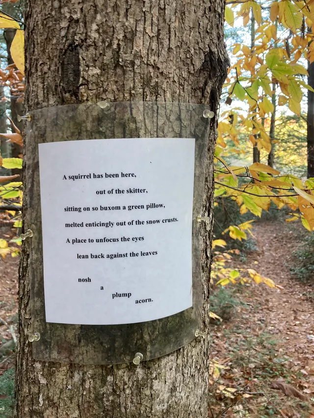 Poem 7 up close
