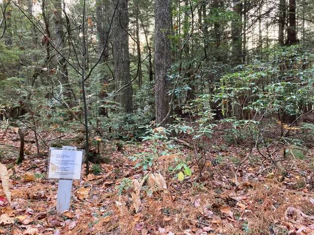 Poem 8 seen from the trail