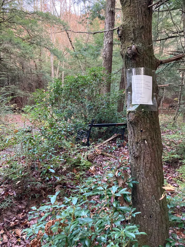 Poem 9 seen from the trail