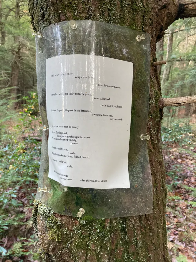 Poem 9 up close