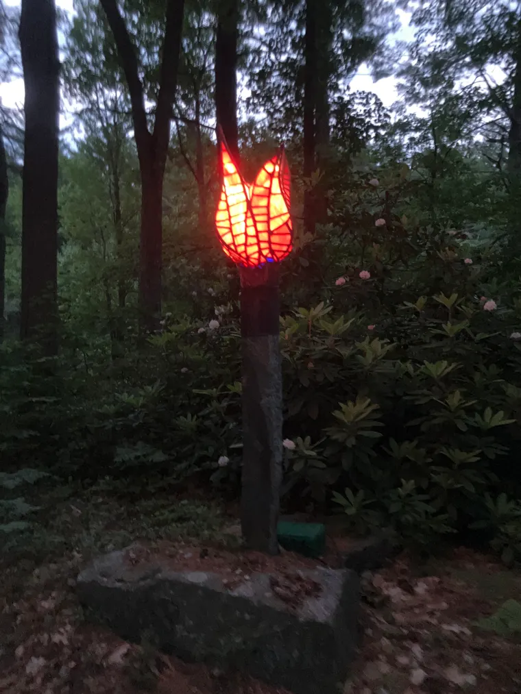Tulip Torch, now photo