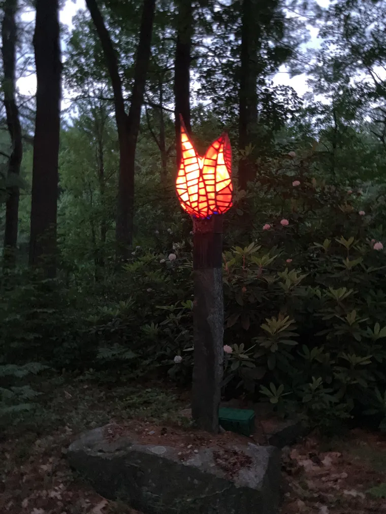 Tulip Torch, now photo
