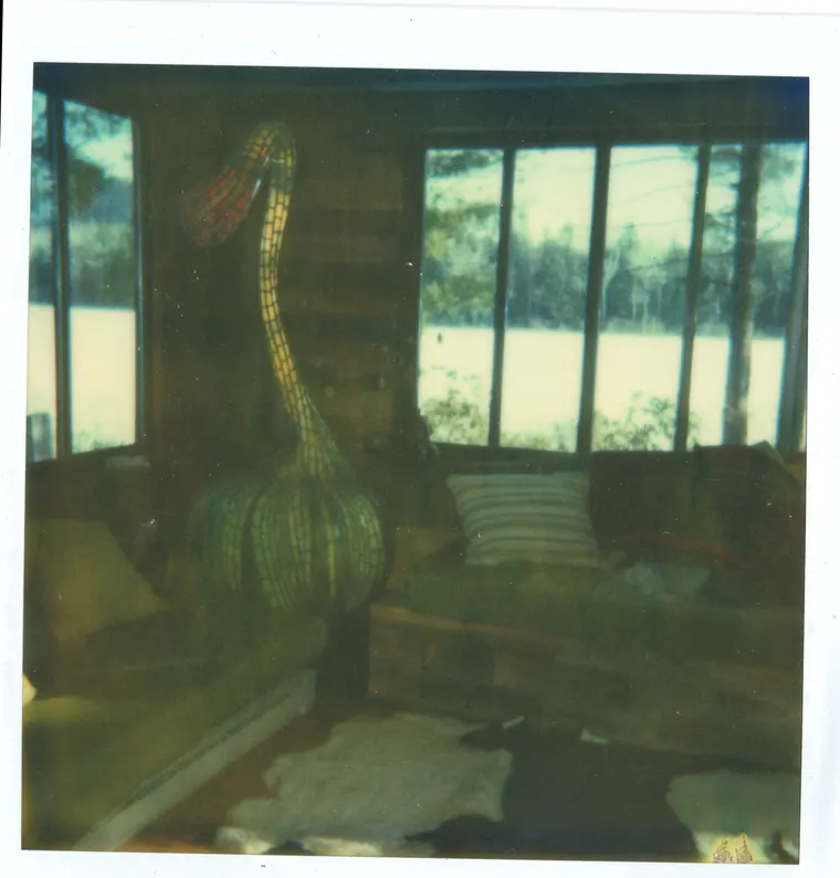 Gourd, then photo