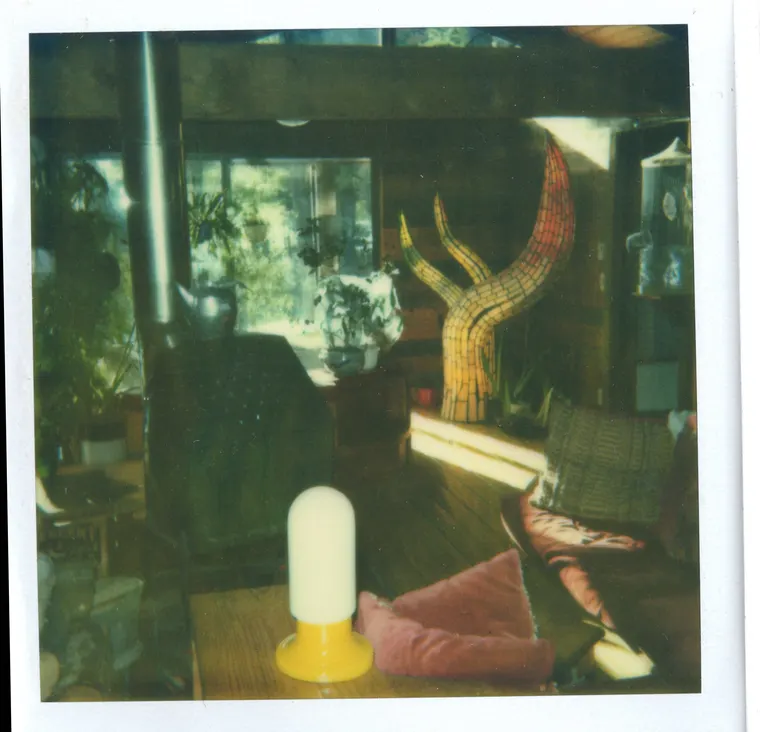 Saguaro Cactus, then photo