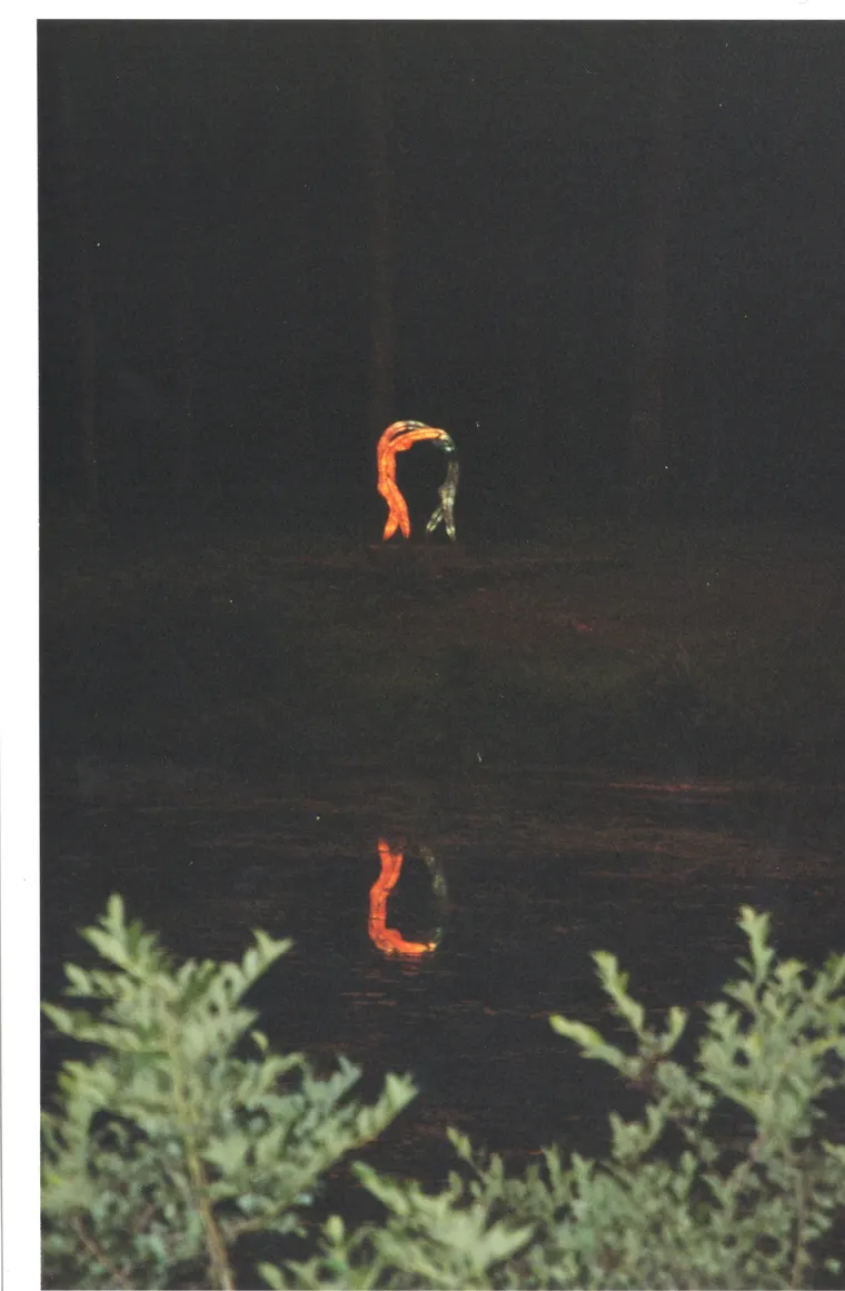 The Dancers, then photo