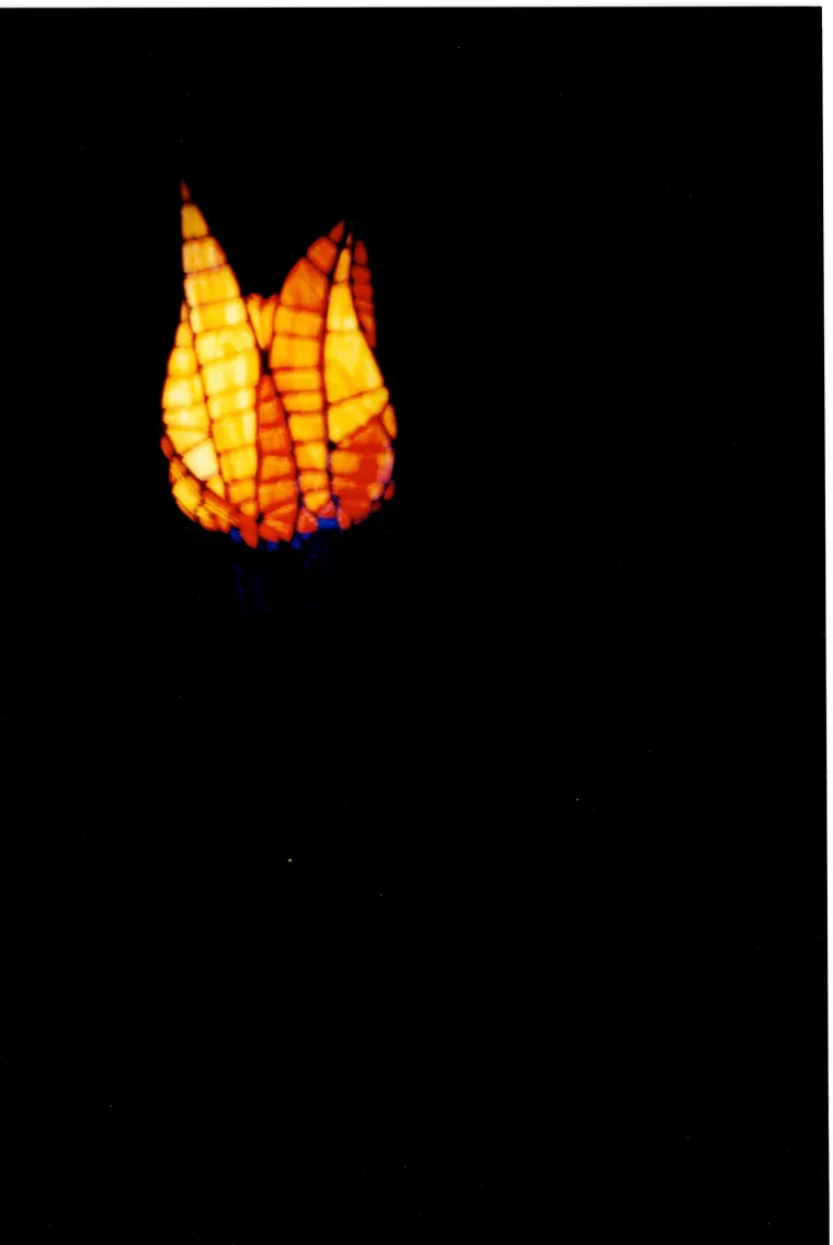 Tulip Torch, then photo